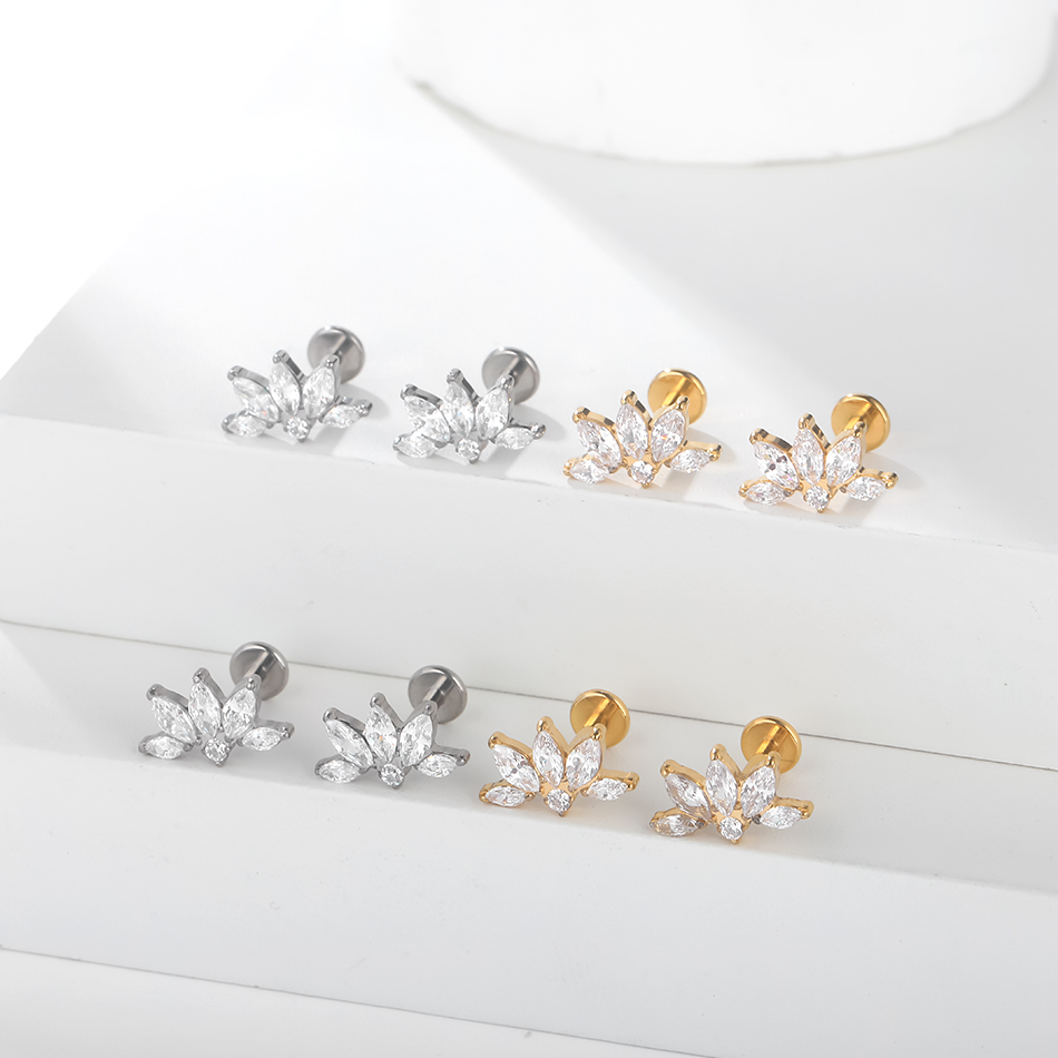 Boucles d'oreilles en titane p - Zoor Body Jewelry avis et prix